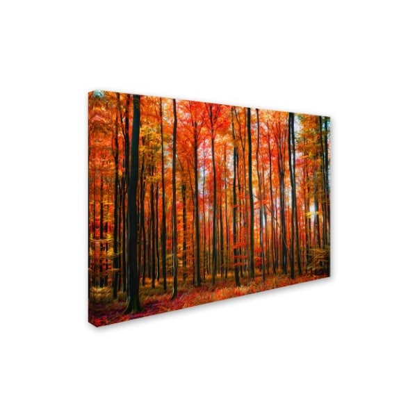 Philippe Sainte-Laudy 'Dominated' Canvas Art,22x32